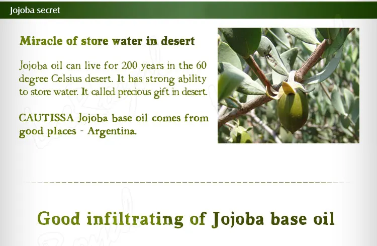 jojoba_05