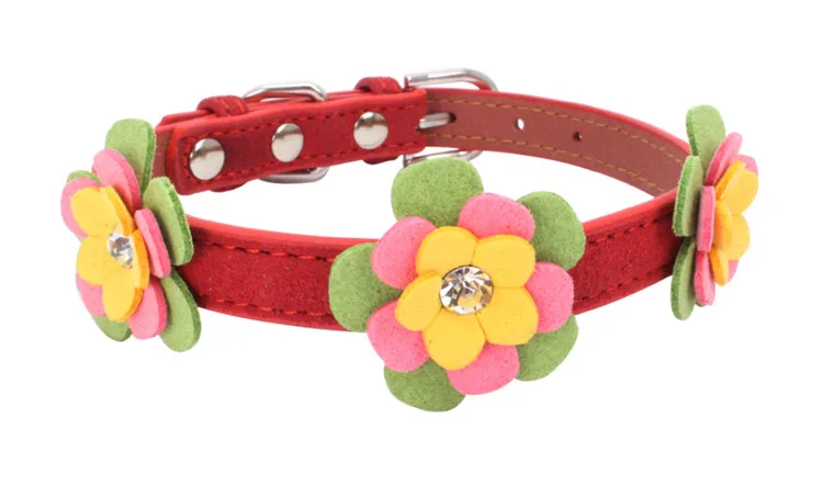 dog collars (3)