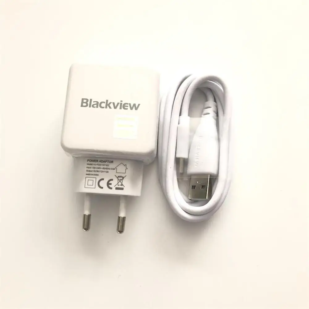 Blackview оригинальное зарядное устройство для путешествий+ кабель usb type-C для BV9600 Pro BV6800 Pro BV9500 Pro BV9500 BV9000 Pro BV9000 P6000 - Тип штекера: Changer and line