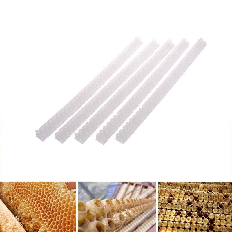 

5Pcs Apiculture Hole Beekeeping Tool Bee Queen Cell Double Row Artificial Device