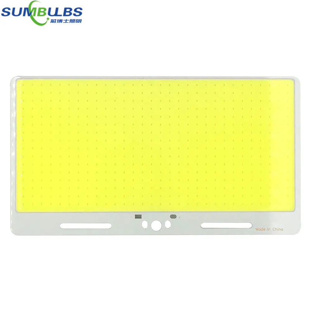 220*120mm Ultra Bright 12V COB LED Panel Light 200W Chip On Baord 6500K Cold White Color DC12V LED Lamp for DIY Decor Car Bulbs 220*120mm Ultra Bright 12V COB LED Panel Light 200W Chip On Baord 6500K Cold White Color DC12V LED Lamp for DIY Decor Car Bulbs