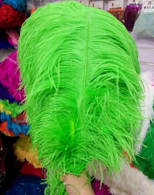 Wholesale 50 PCS, 22 24 inches / 5560cm natural green ostrich feathers
