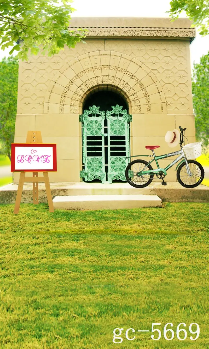 

3*5M Art Cloth Custom Photography Backdrops Prop Indoor theme Studio Background GC-5669