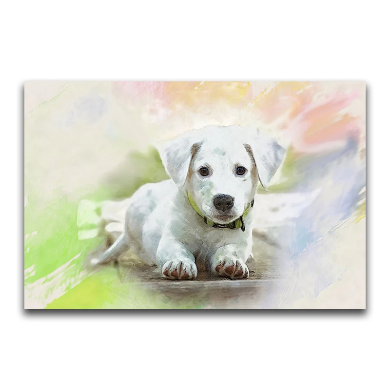 DIY 3D Diamond mosaic animal Full Round Diamond painting White puppy Full Square Diamond embroidery Cross stitch dog
