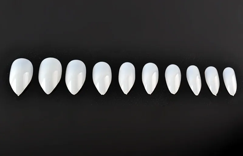 3047636940_33696745