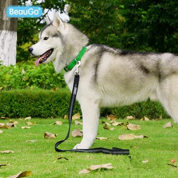 

New Brand Quality Soft Nylon Belt Traction Rope In Large Pets Chain Flat Rope Walking Net Training pet Collar Dogs Collar Pet