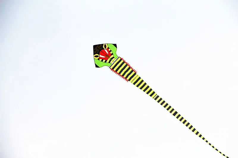 Высокого качества 40 м Кобра воздушный змей с ручкой линии супер змей Летающий змей весь воздушный змей летающие игрушки parafoil китайский дракон воздушный змей