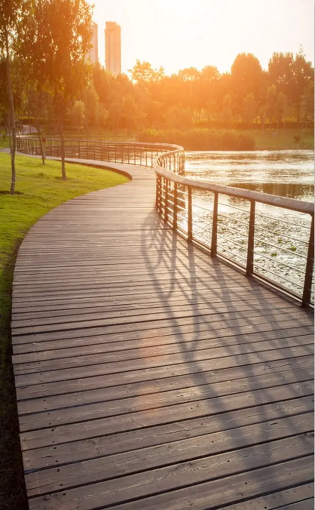 

5X7 футов деревянная дорога дерево озеро трава фон для фотосъемки реквизит для фотостудии фон