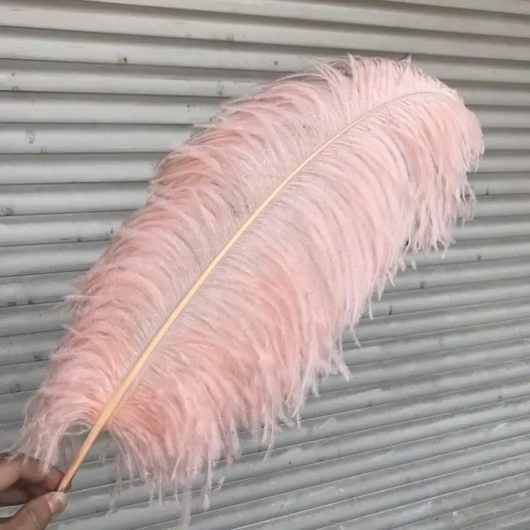 Buy 50pcs Beautiful Champagne pink Ostrich Feathers
