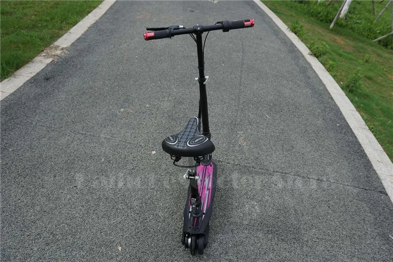 Daibot Electric Scooter For Adults Two Wheel Electric Scooters Rear Brake Mini 24V Portable Foldabe Kick Scooter Children        (5)