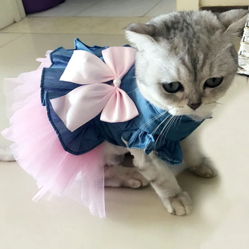 Denim Pet Cat Clothes Dresses Skirts Dresses Cats Sphynx Cat Summer Clothing Dog Dresses