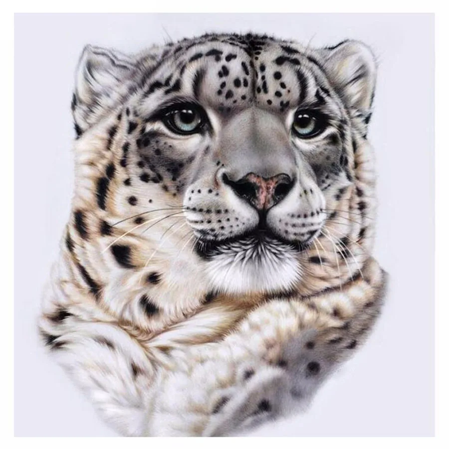 

5D DIY Diamond Painting Leopard Full Square Diamond Embroidery Cross Stitch Black Spots Leopard Needlework Home Decorative