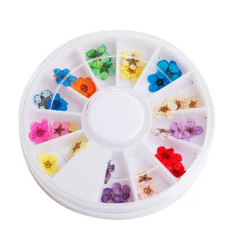 

Real Dried Flower Acrylic Nail Art Sticker Wheel Decoration Manicure Tips Finger Accessories 12 Colors Make Up New Hot Sale