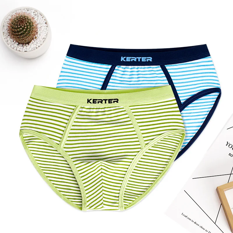 

4Pcs/Lot Boy Underwear Triangle Cotton Children's Underwear Boys Teen Underpants HYFP94