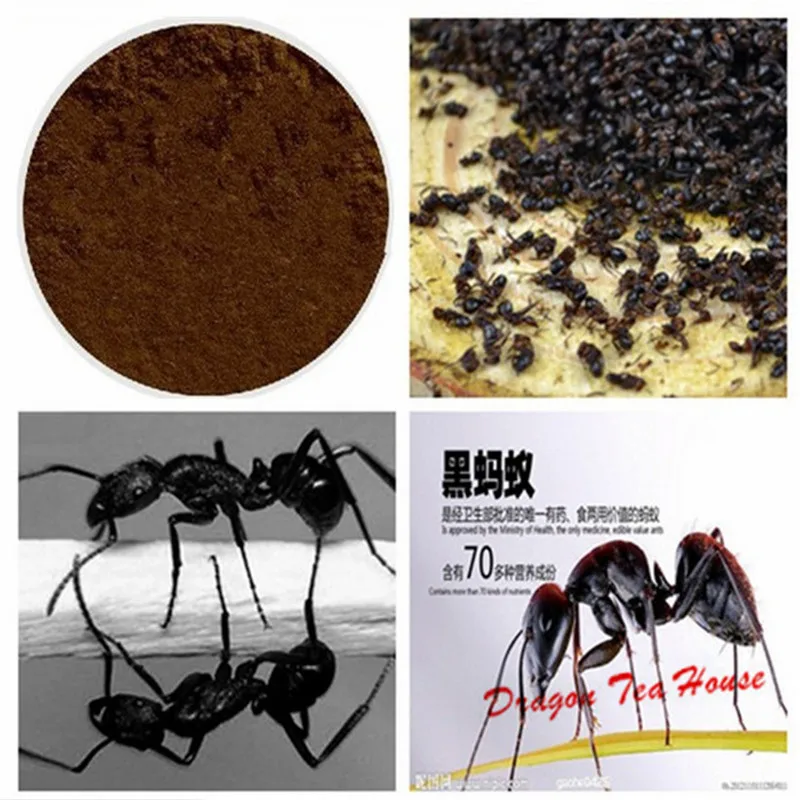 Чистый полирахис черный муравей/полирахис вицина экстракт порошок, увеличивает сексуальность и сильные эрекции, Виагра для меня