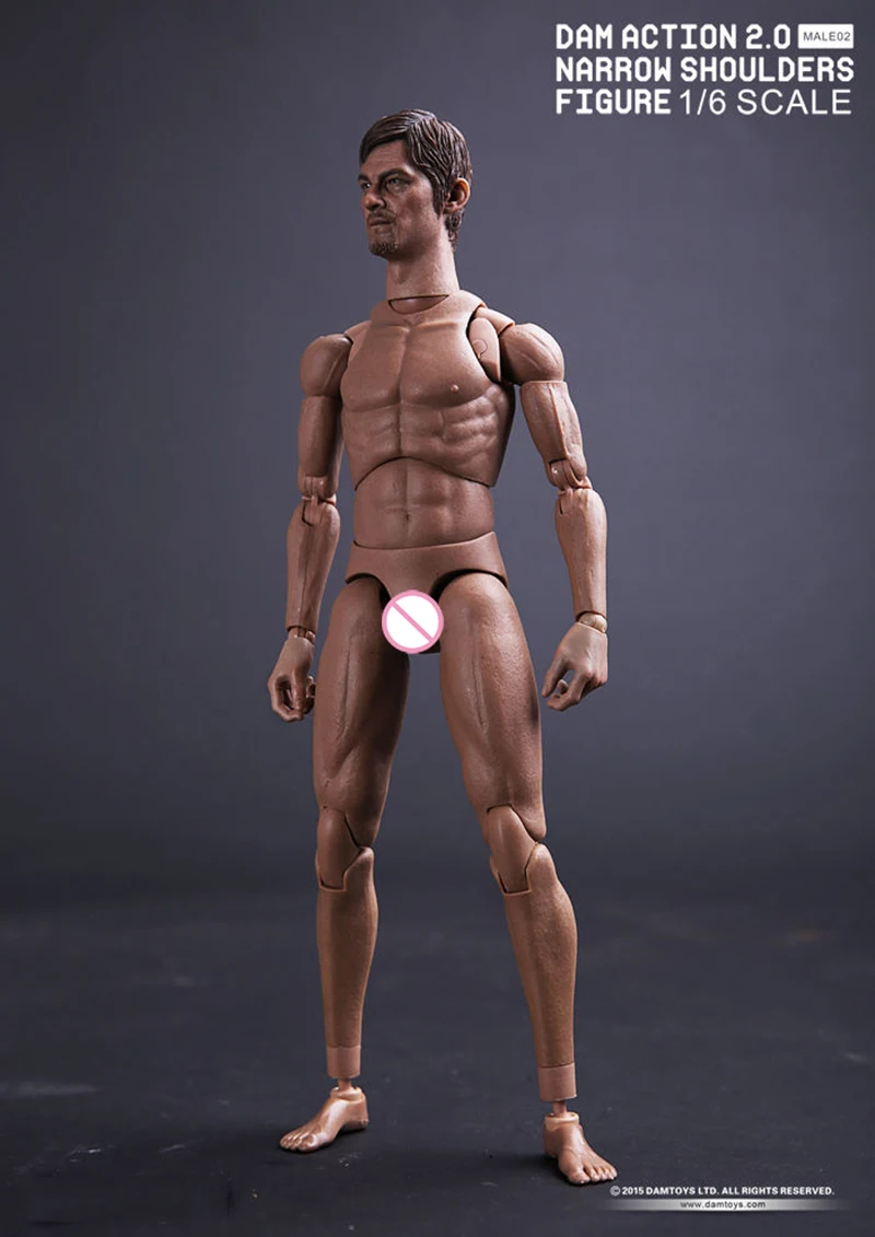 1:6 весы телесный тело и голова узкие плечи фигурку мужской с головой MALE02|Игровые