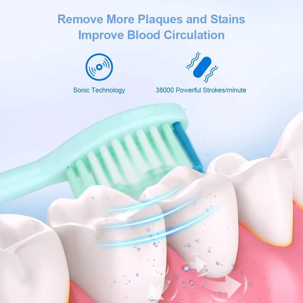Ultrasonic Sonic Electric Toothbrush USB Rechargeable Tooth Brushes With 2 Pcs DuPont Replacement Time Brush Heads Waterproof Ultrasonic Sonic Electric Toothbrush USB Rechargeable Tooth Brushes With 2 Pcs DuPont Replacement Time Brush Heads Waterproof