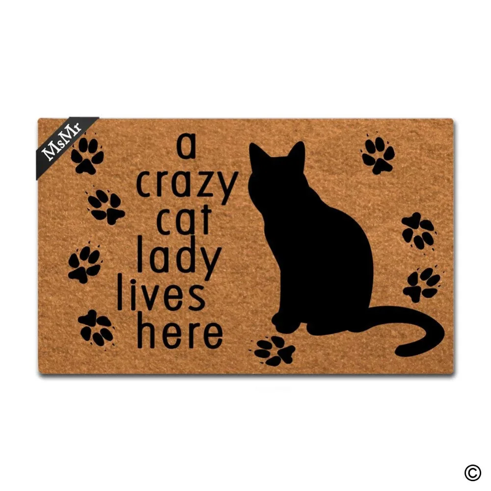 Doormat Entrance Floor Mat A Crazy Cat Lady Lives Here Mat Indoor