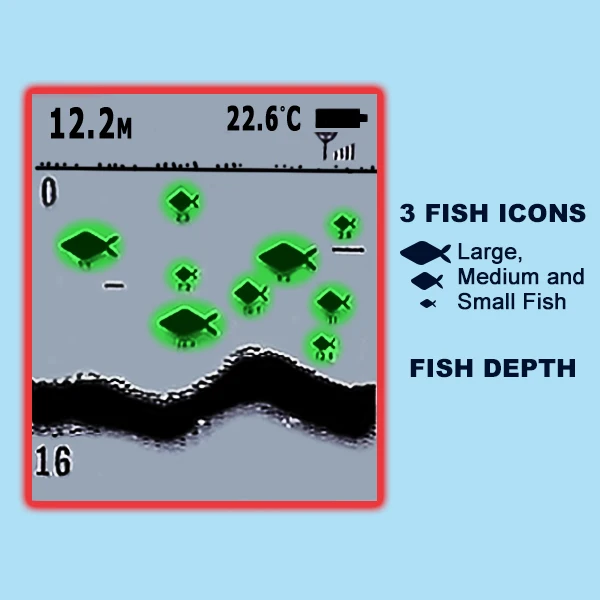 FF-918_fishsize
