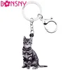 Bonsny акриловый Американский короткошерстный котенок, кошка, цепочка брелок, кольца, ювелирные изделия для женщин, девочек, сумки, подвески дл... ► Фото 1/6