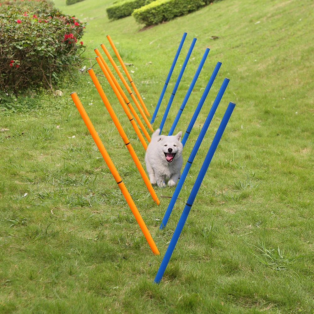 Buy Pet Training Poles Outdoor Dog Agility Sports