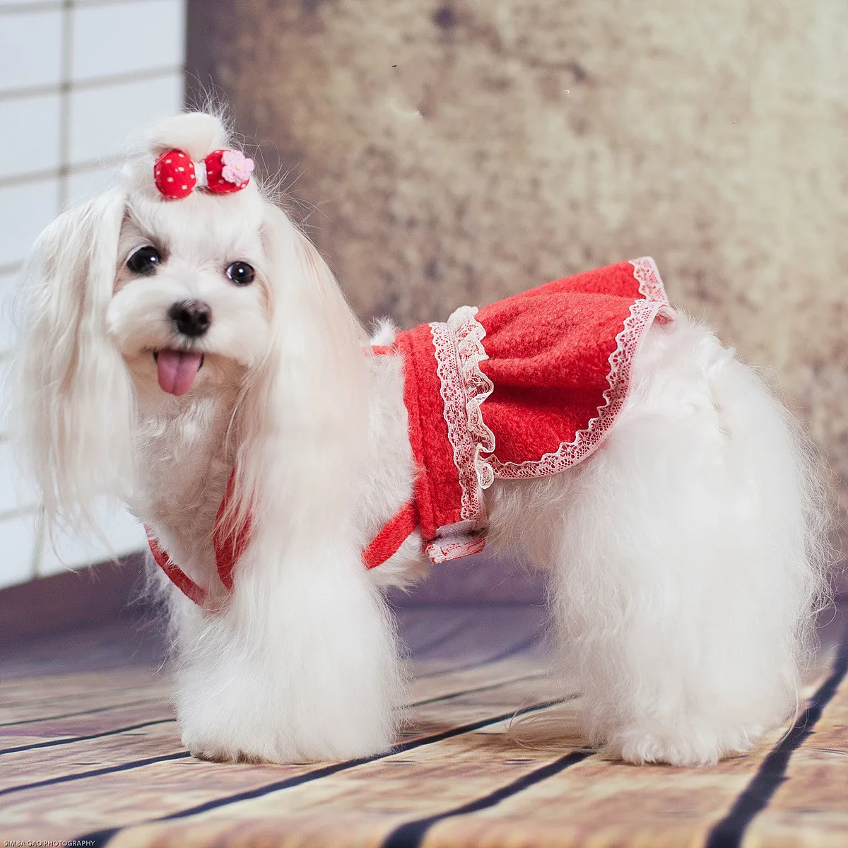 Fashion Pet Dog Clothes Beautiful Pet Garment Spring Summer Autumn Dog