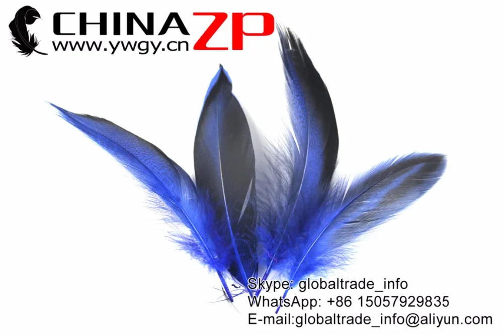 Fluffy Mallard Duck Flank Plumage Feathers Royal Blue (5)