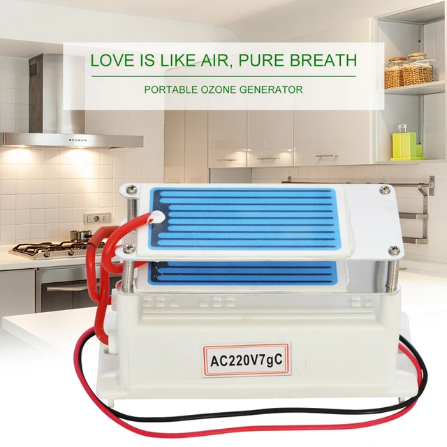 ATWFS 7g/h Ozone Generator 220V/110V Generator Water Air Cleaner with Ceramic Plate Longevity Double Sheet Sterilizer 6