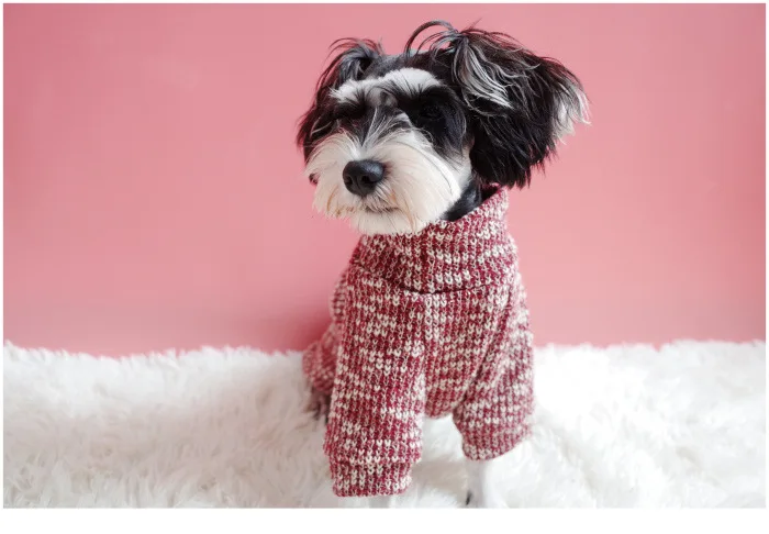 Свитера для домашних собак Весна/Осень Одежда для маленьких собак смешанные цвета мягкое теплое вязаное пальто для домашних животных Чихуахуа Французский бульдог S-2XL
