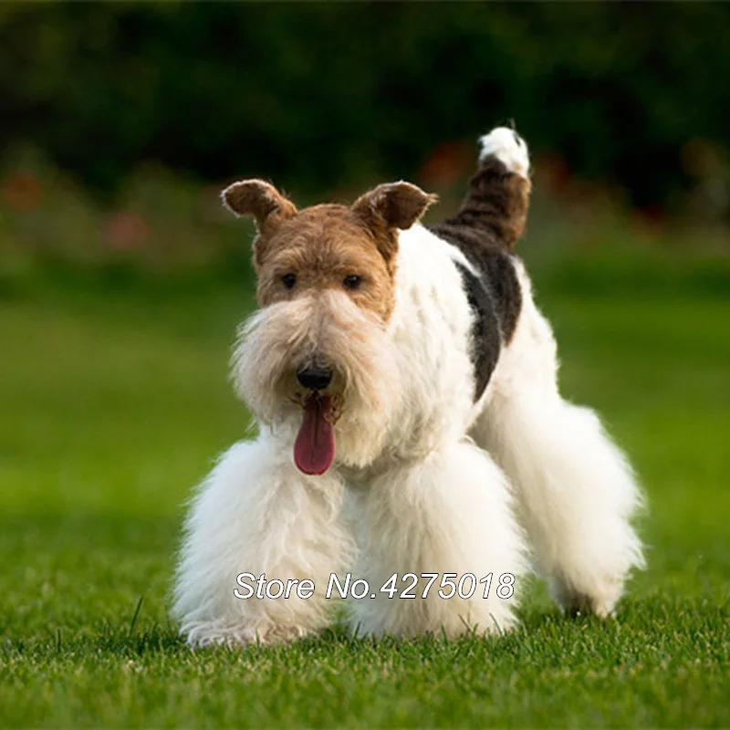 

DIY Diamond Painting Cross Stitch 5D Square Mosaic Diamond Embroidery Home Decor Needlework Pit fox terrier dog YG074