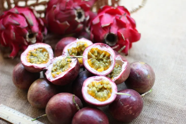 

50 / pack Purple Passiflora Edulis Passion Fruit Maracuy Fruit Bonsai