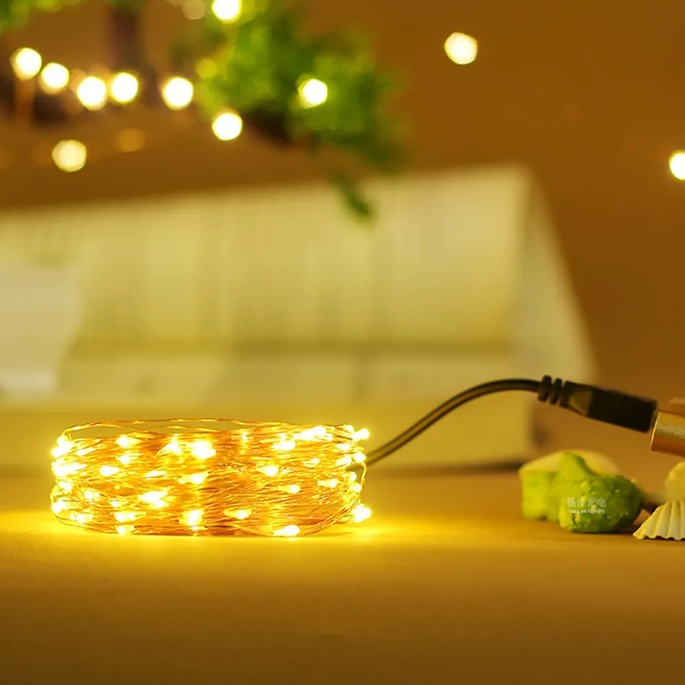 Copper wire USB LED string lights (15)