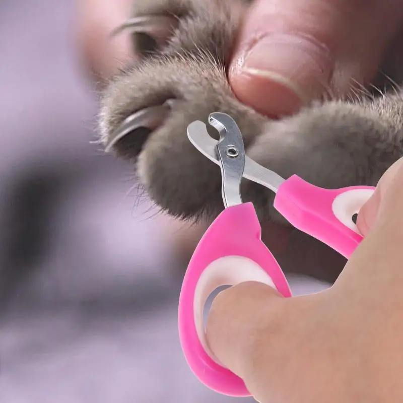 Cat Dog Nail Clippers Small Dogs Knife Claw Clippers Scissors Toe Care