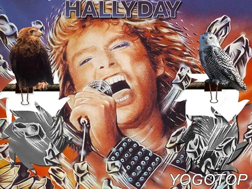 Yogotop Diy Алмазная картина, вышивка крестиком, суперзвезда, певец, Джони Халлидей, 5D Алмазная мозаика, набор, полная Алмазная вышивка CV381 - Цвет: Коричневый