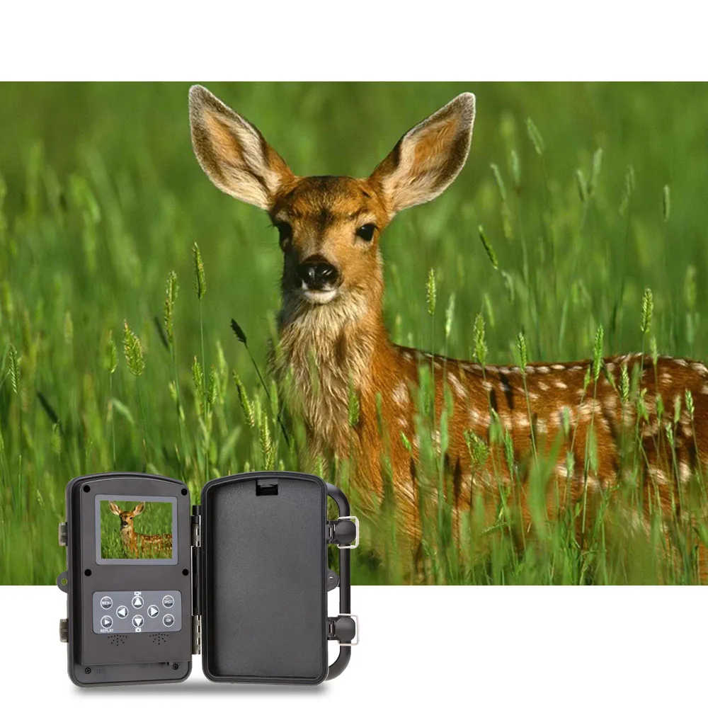 Portable Wildlife Hunting font b Camera b font 12MP HD Digital Infrared Scouting font b Trail