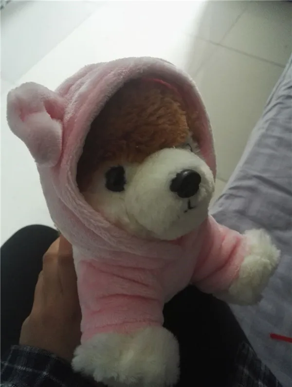 Cute Pomeranian Dog Plush Toys 4 sizes - Buyers Show 13