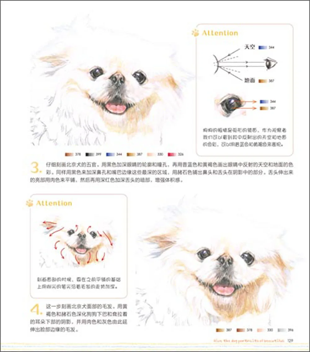 Matita di colore disegno libri per adulti Animale cane pittura cinese Tutorial libro dipinta A mano animale da pagnia art libro di testo in Matita di