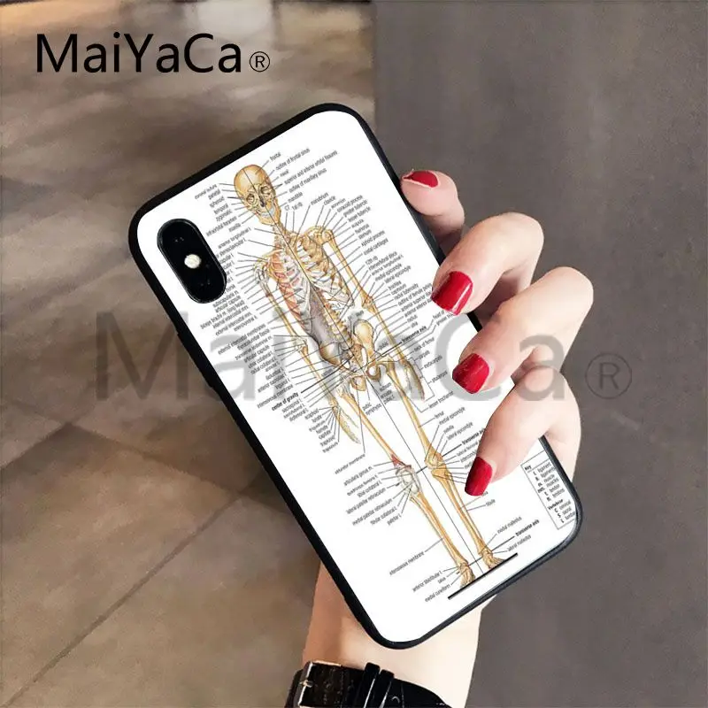 MaiYaCa для iphone 7 6 X Чехол Анатомия человека популярный чехол для телефона для iphone 8 8plus 7 7plus 6 6plus 5 5S 5c SE XS XR XSMAX чехол