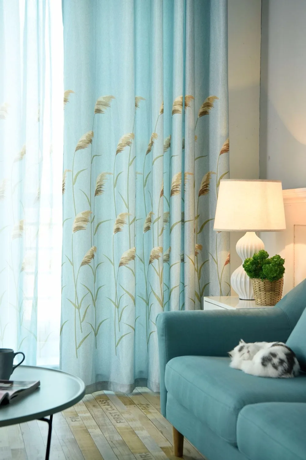 8897920349_1042572061