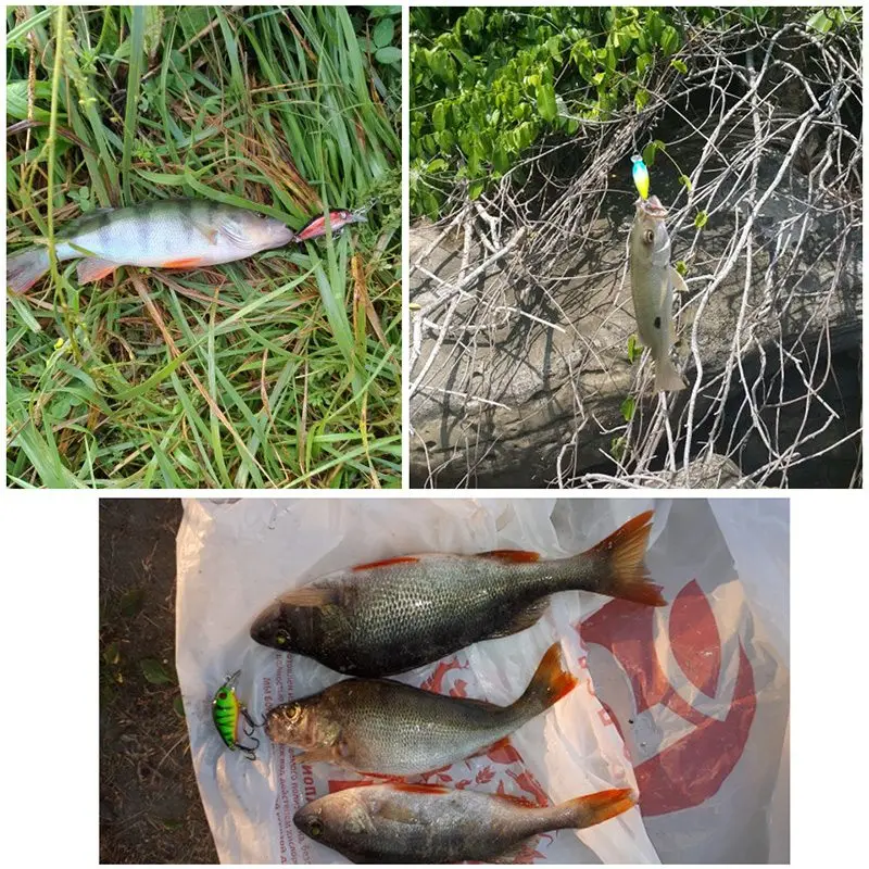 Yuewins البسيطة Crankbait الصيد إغراء 45 مللي متر 4.1g توبواتر الاصطناعي اليابان الصلب الطعم أسماك Swimbait المرقط باس الكارب الصيد QA267 Yuewins البسيطة Crankbait الصيد إغراء 45 مللي متر 4.1g توبواتر الاصطناعي اليابان الصلب الطعم أسماك Swimbait المرقط باس الكارب الصيد QA267