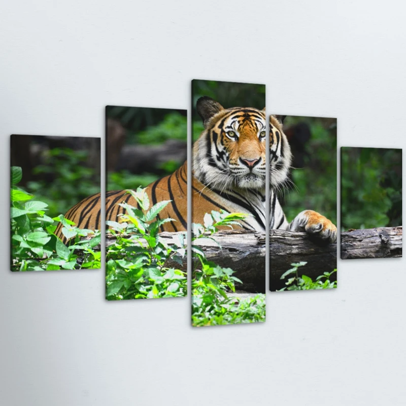 

5 Pieces HD Canvas Painting Print Majestic Tiger Modular For Modern Decorative Bedroom Living Room Home Wall Art Decor
