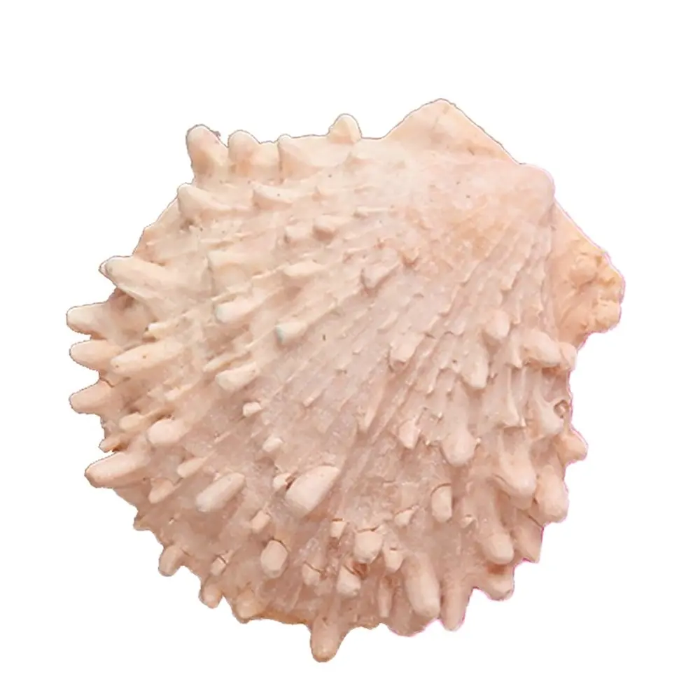 

Conch shell Shape 3D fondant cake silicone mold food grade mastic confeitaria chocolate pastry candy making decoration tool 1041