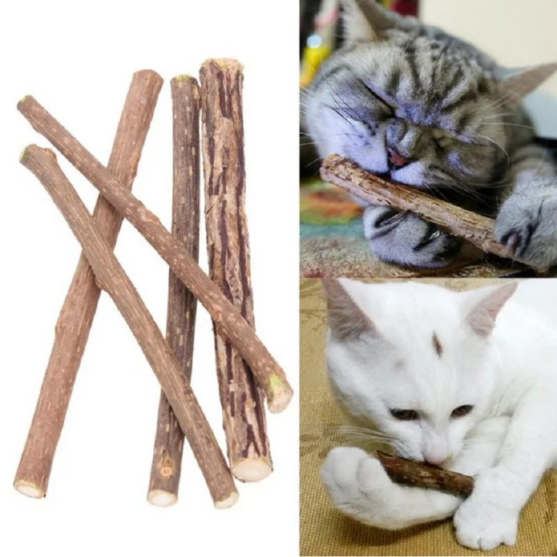 

5Pcs Cat Cleaning Teeth Catnip Pure Natural Cats Pet Cat Molar Toothpaste Stick Toys Cat Snacks Sticks Pet Supplies