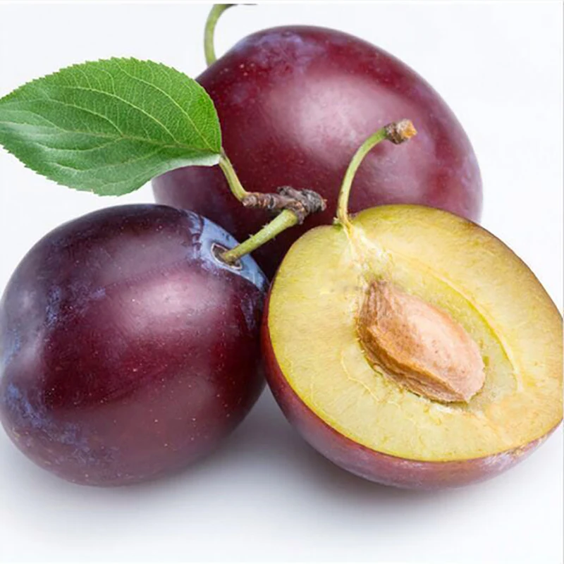 Buy 5 /Pack Delicious Chinese Round Plums Fruit Red Li Zi Tree Spring Bonsai