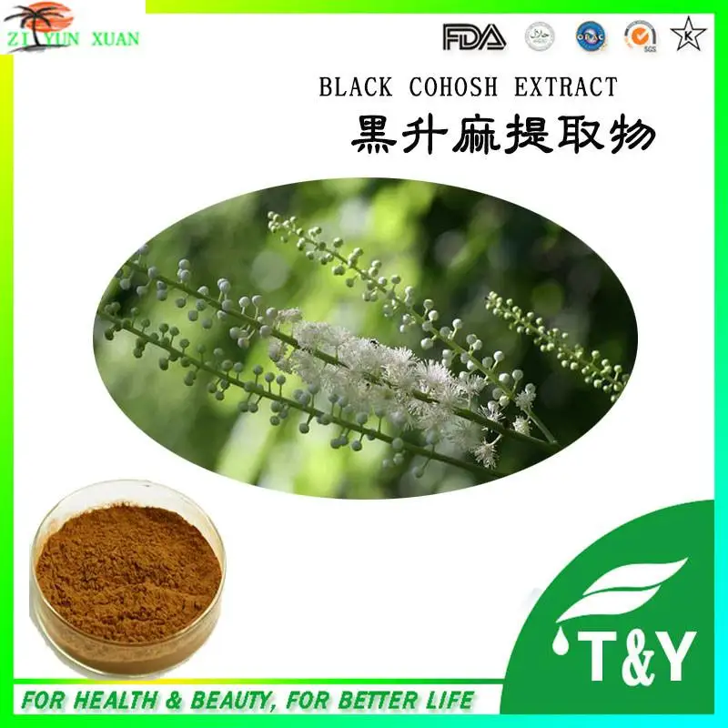 

high quality black cohosh p.e/black cohosh p.e powder/black cohosh extract
