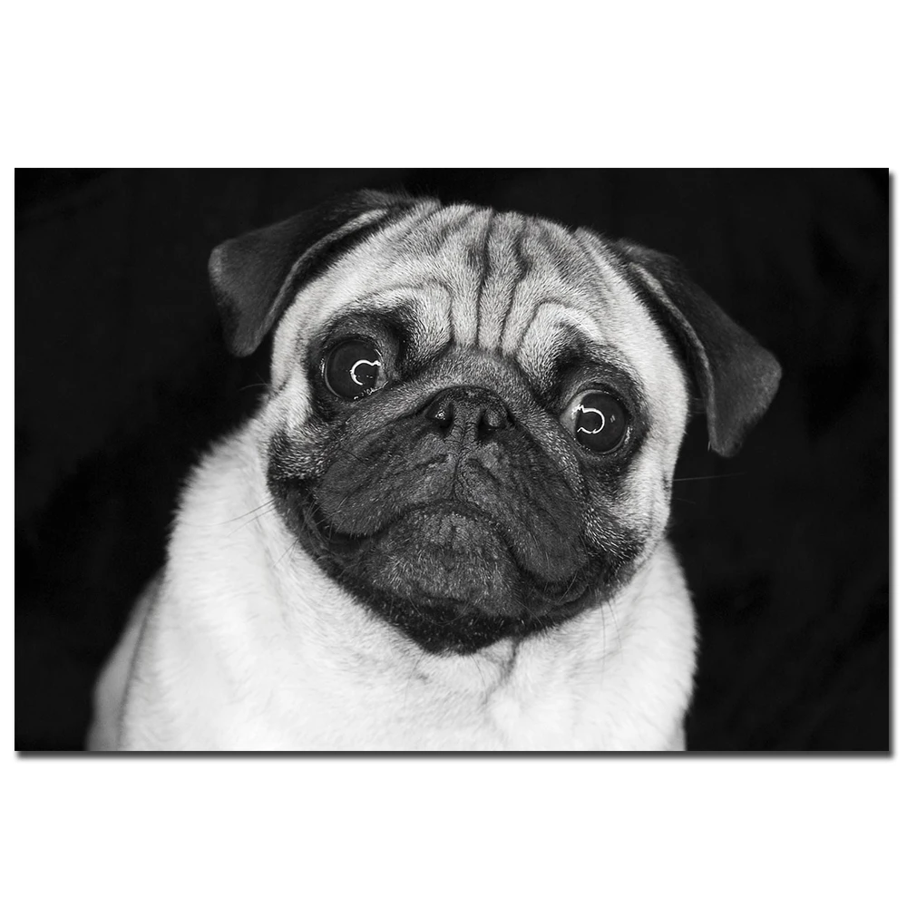 

Canvas Painting Elephant Dog Pug Cat Tiger Poster Black White Wall Pictures for Living Room Decoration Masion Modern Minimalist