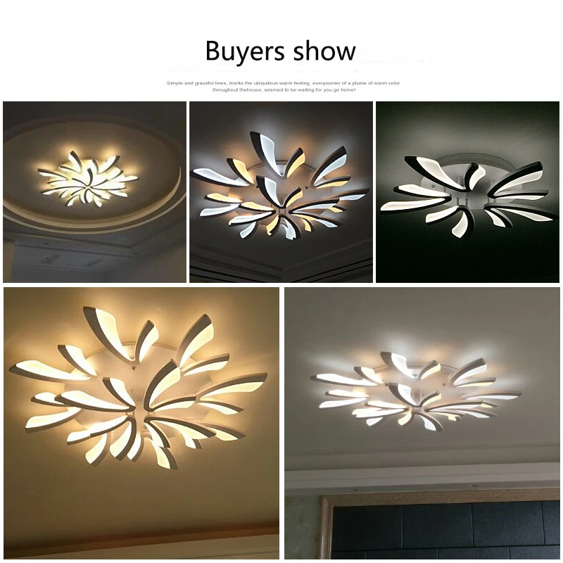 8528736776_1829566182