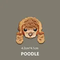 POODLE