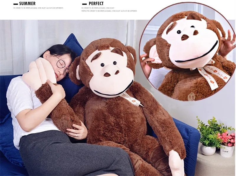 monkey21