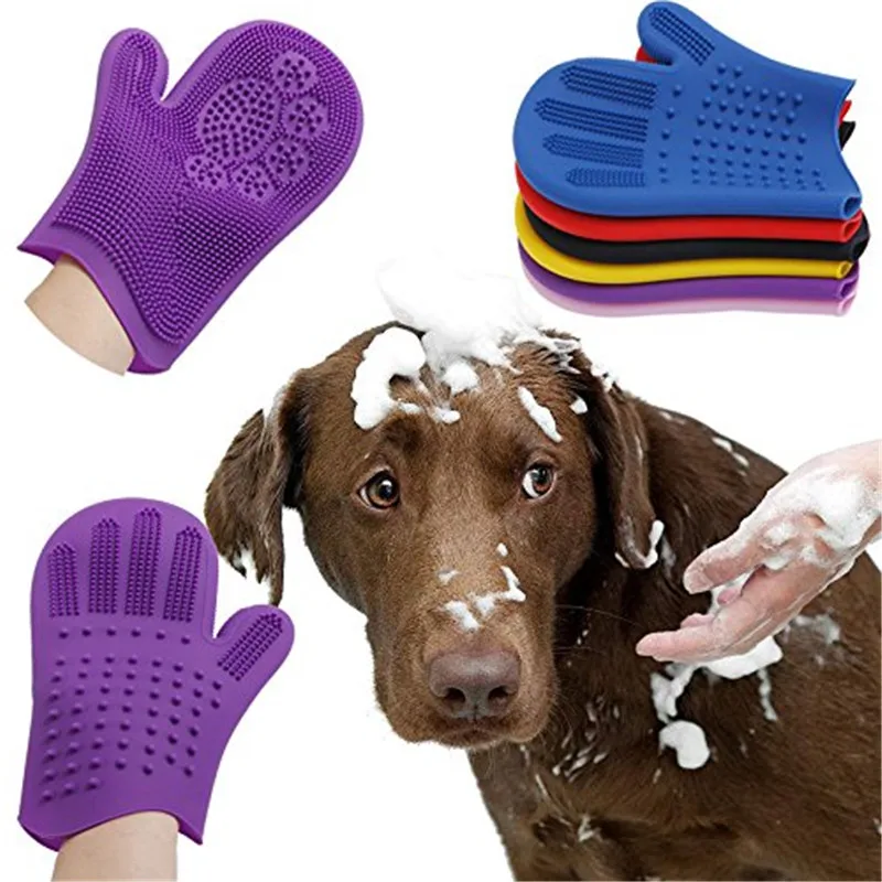 39 Best Pictures Pet Grooming Supplies Financing / More room to groom at LITH Pet Supplies Plus